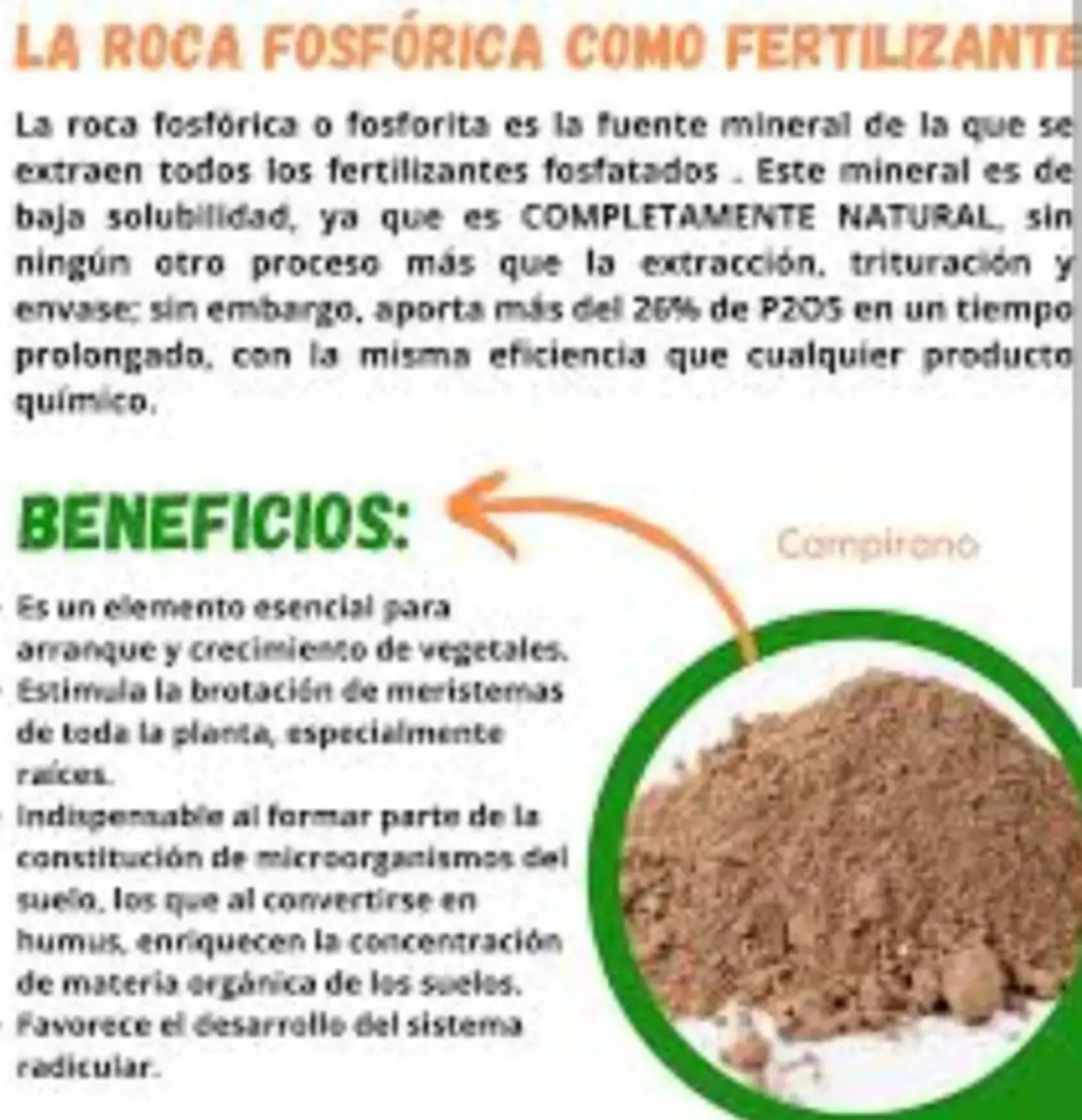 Roca Fosfórica 26% Minerales del Sur (Enmienda Suelos) - 50 Kg | Agrosamario 4