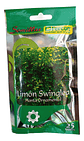 Fercon Limón Swinglea Ornamental  X 750 Semillas 25 Gr - Miniatura 1