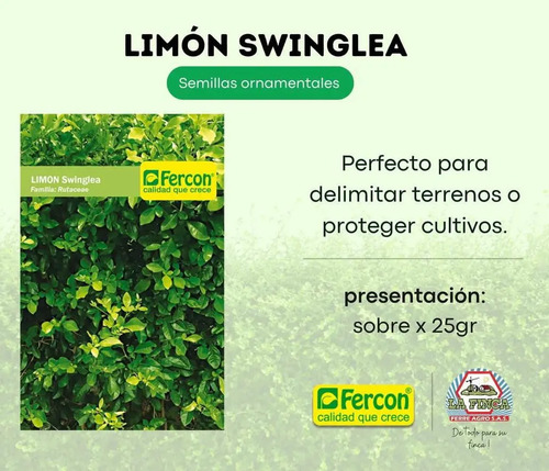 Fercon Limón Swinglea Ornamental  X 750 Semillas 25 Gr 4