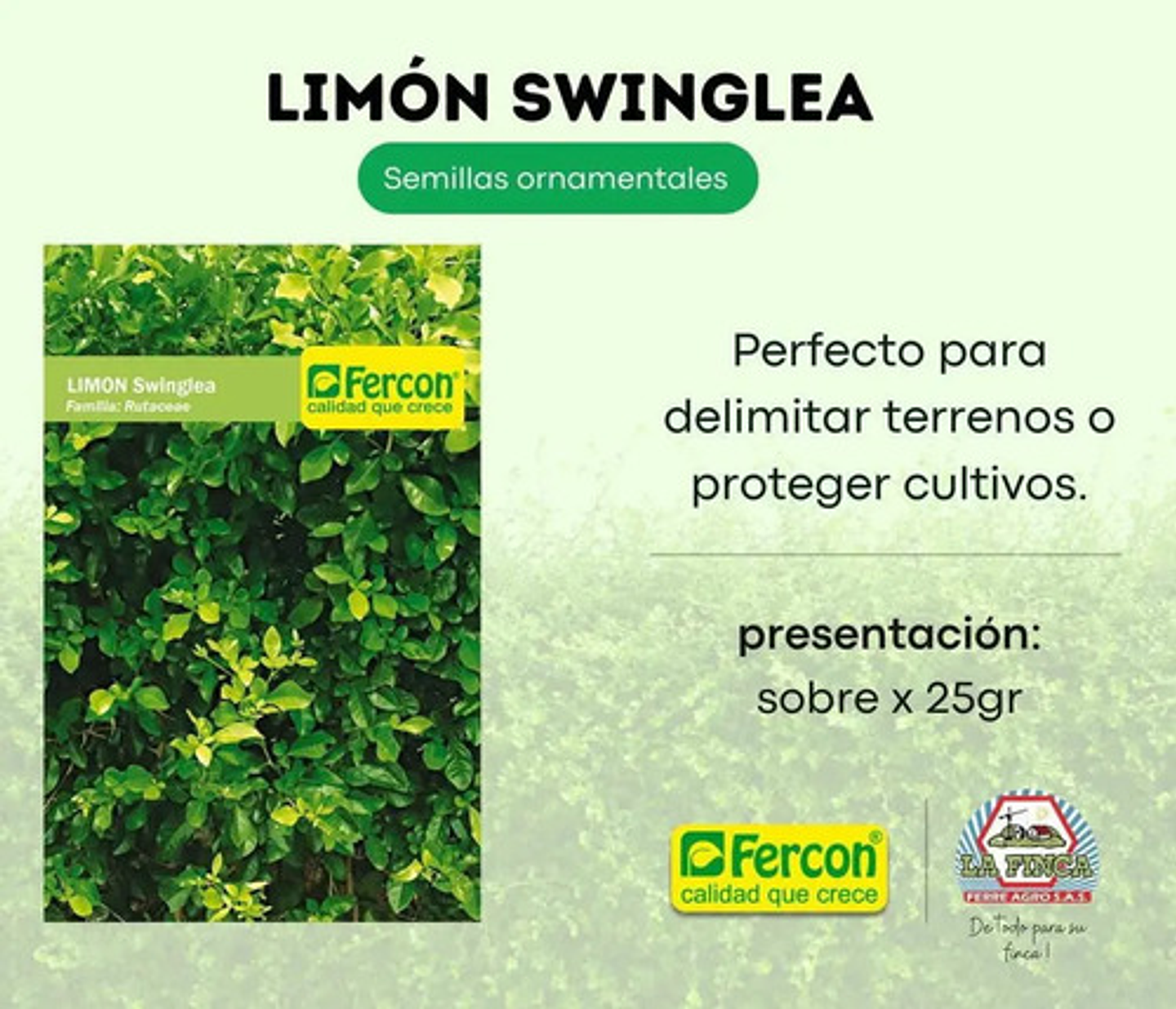 Fercon Limón Swinglea Ornamental  X 100 Gr - 3000 Semillas 4