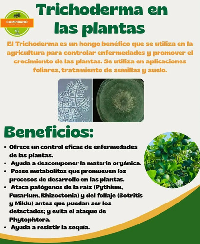 Safersoil Biológico Trichoderma X 500 5