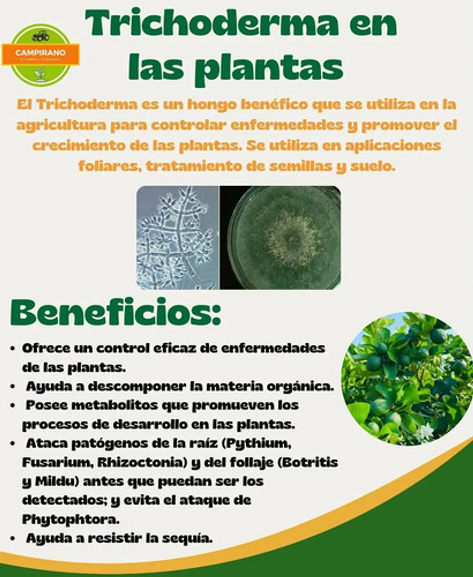 Safersoil Biológico Trichoderma X 500 5
