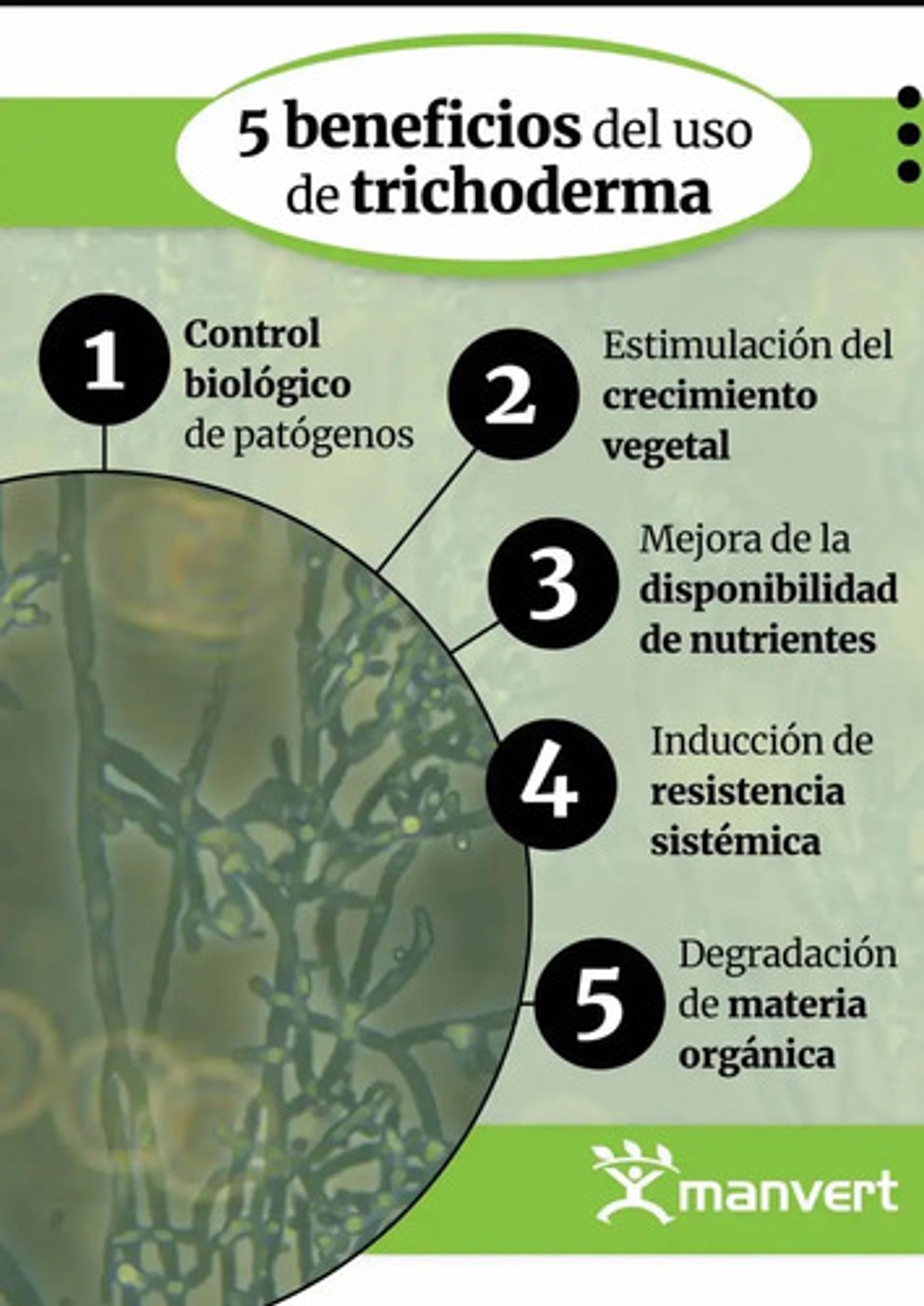 Safersoil Biológico Trichoderma X 500 6
