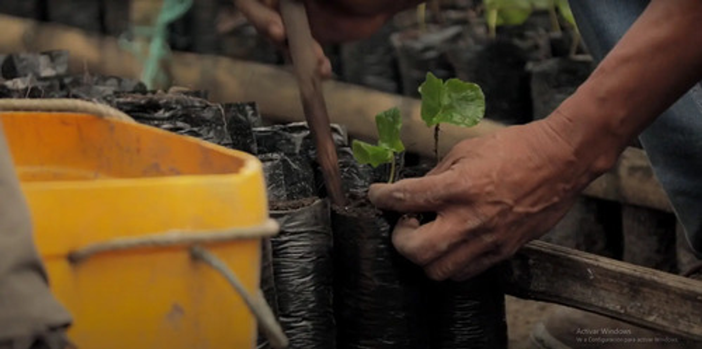 Bolsa Semillero Vivero 4x7pul (10cm Ancho X18cm Alto) 1000un 8