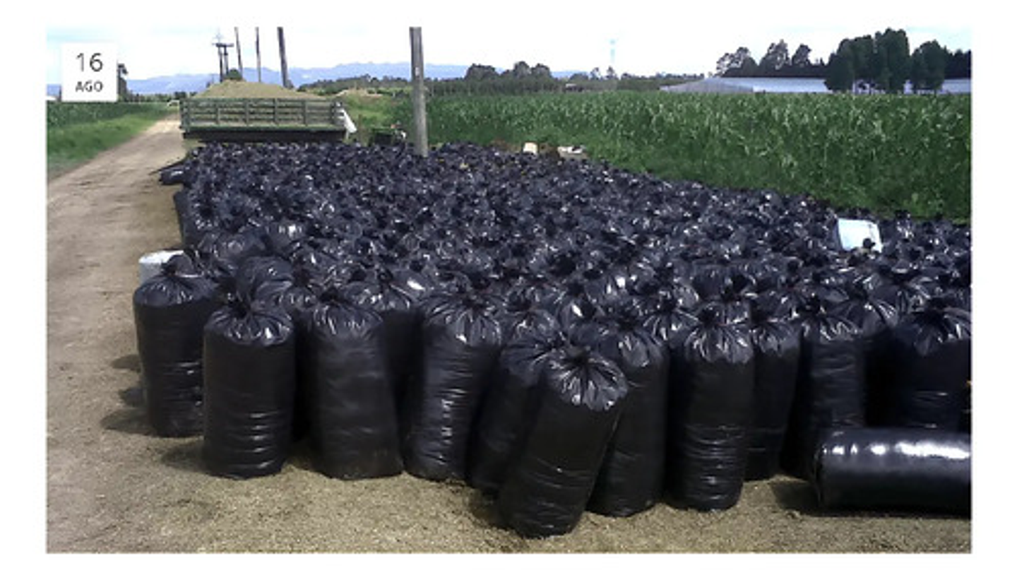 20 Bolsa Ensilaje 70x110cm Cal5 4