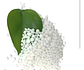 Fertilizante Urea X 15kg Granel - Miniatura 4
