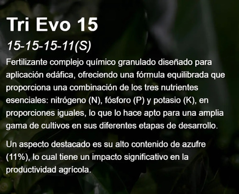 Fertilizante Triple 15 X 50 Kl Evoagro 3