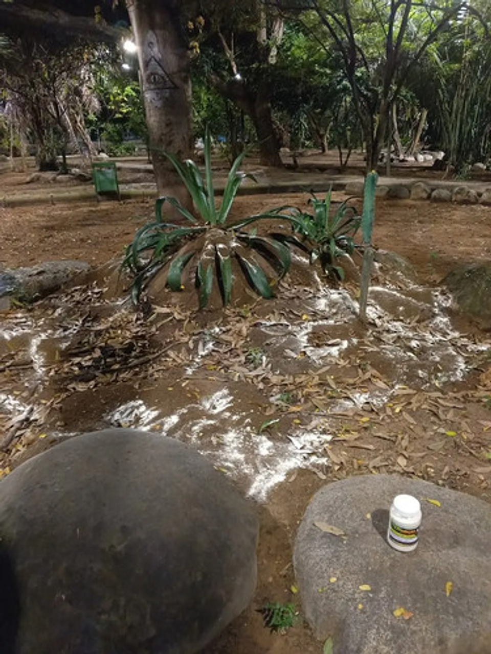 Matahormigas Polvo 500g Línea Arriera Insecticida Eficaz 9