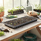 Bandeja Semillero-germinacion 128 Cavidades X 10 Unidades - Miniatura 6