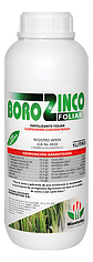 Borozinco X 2litro Nutricion Foliar Frutales Y Flores - Miniatura 1