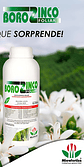 Borozinco X 2litro Nutricion Foliar Frutales Y Flores - Miniatura 2