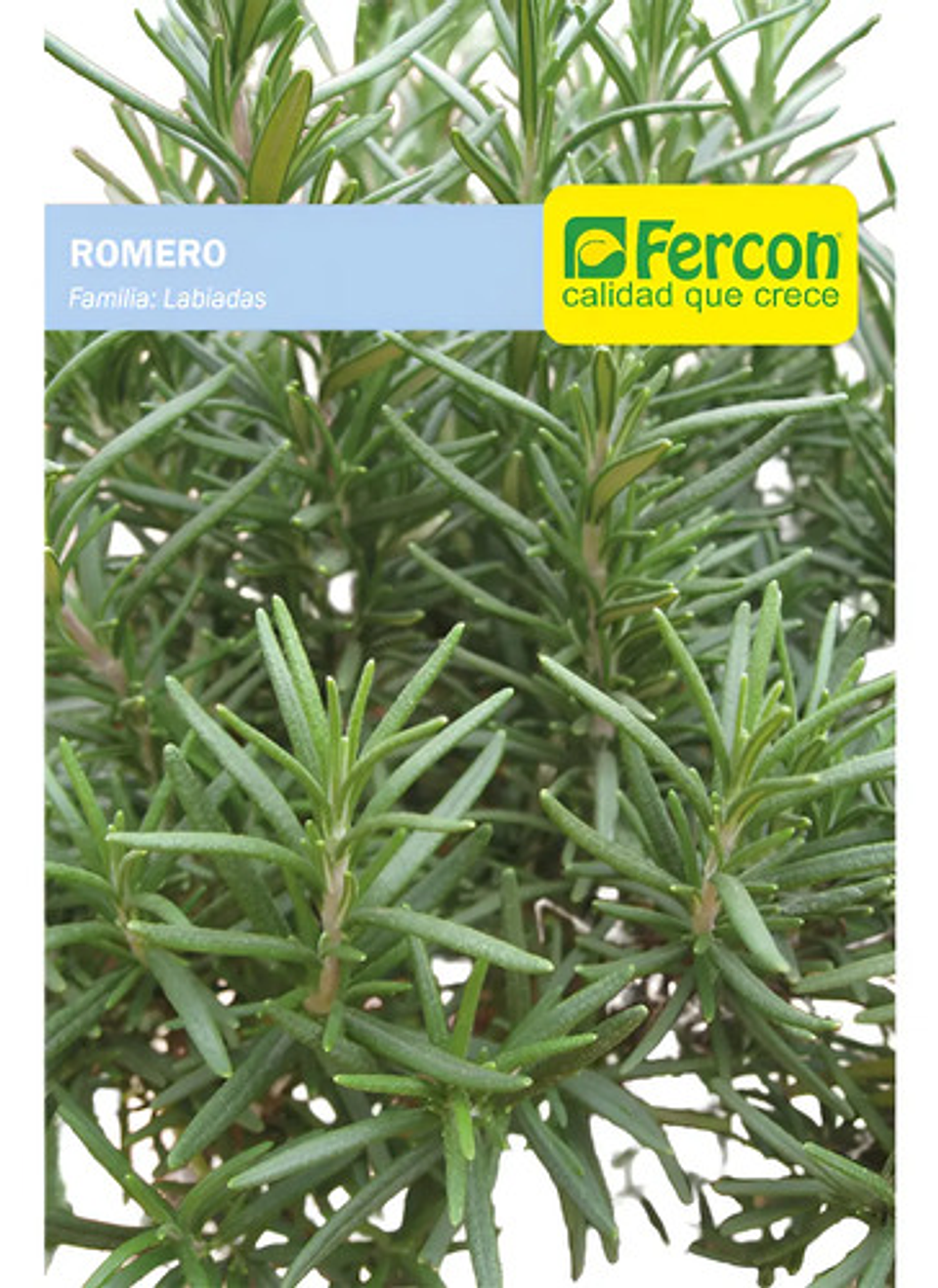 Semillas Aromaticas Tomillo-romero-hierbabuena-ruda-manz Etc 1