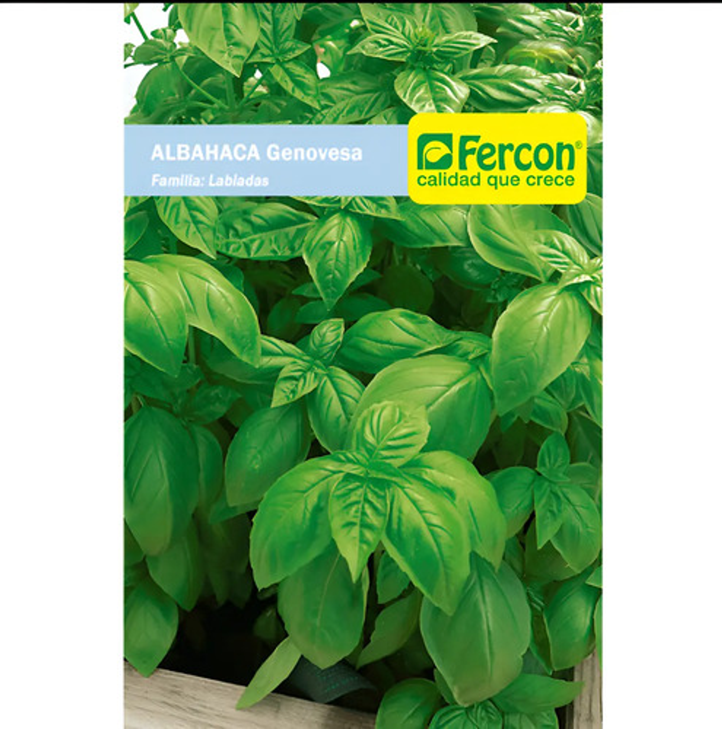 Semillas Aromaticas Tomillo-romero-hierbabuena-ruda-manz Etc 4