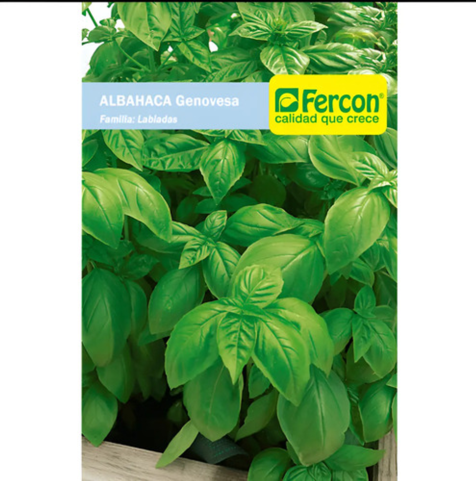 Semillas Aromaticas Tomillo-romero-hierbabuena-ruda-manz Etc 4