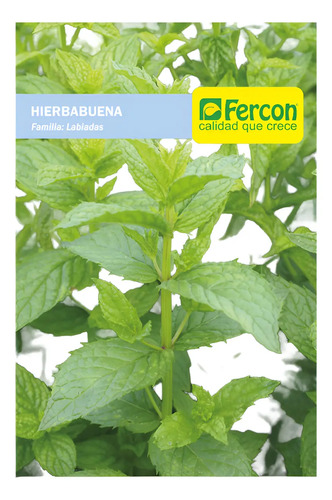 Semillas Aromaticas Tomillo-romero-hierbabuena-ruda-manz Etc 7