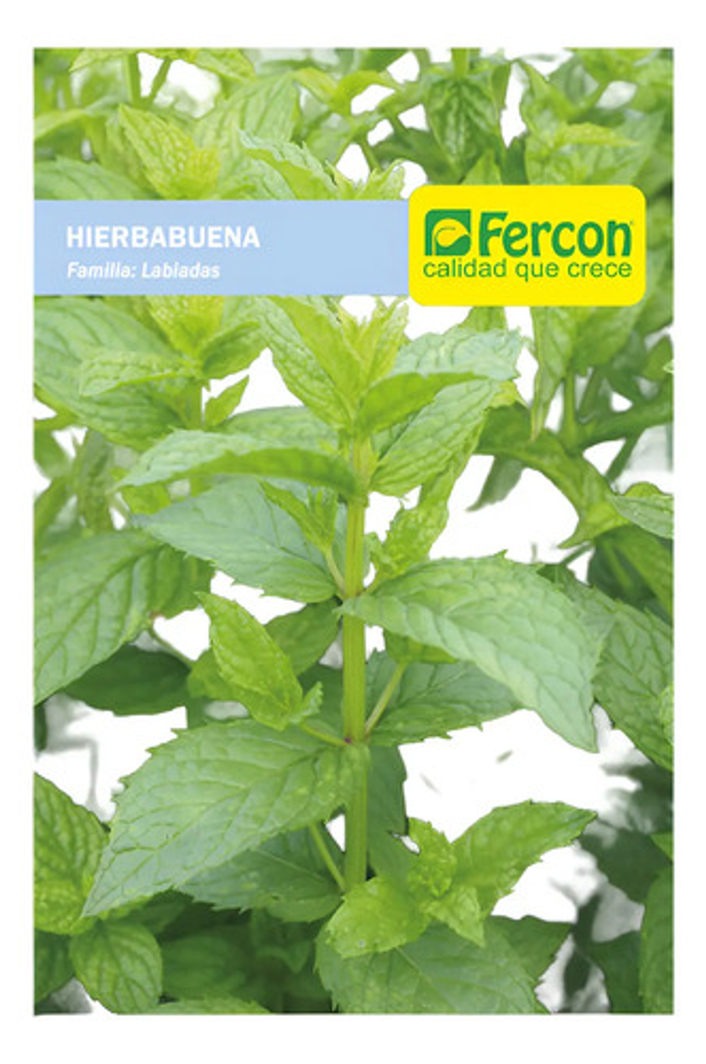 Semillas Aromaticas Tomillo-romero-hierbabuena-ruda-manz Etc 7