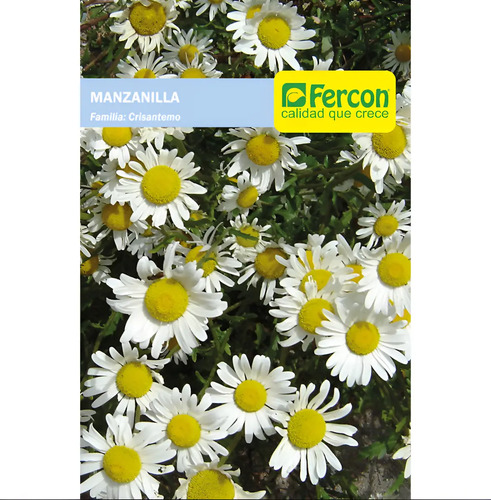 Semillas Aromaticas Tomillo-romero-hierbabuena-ruda-manz Etc 10