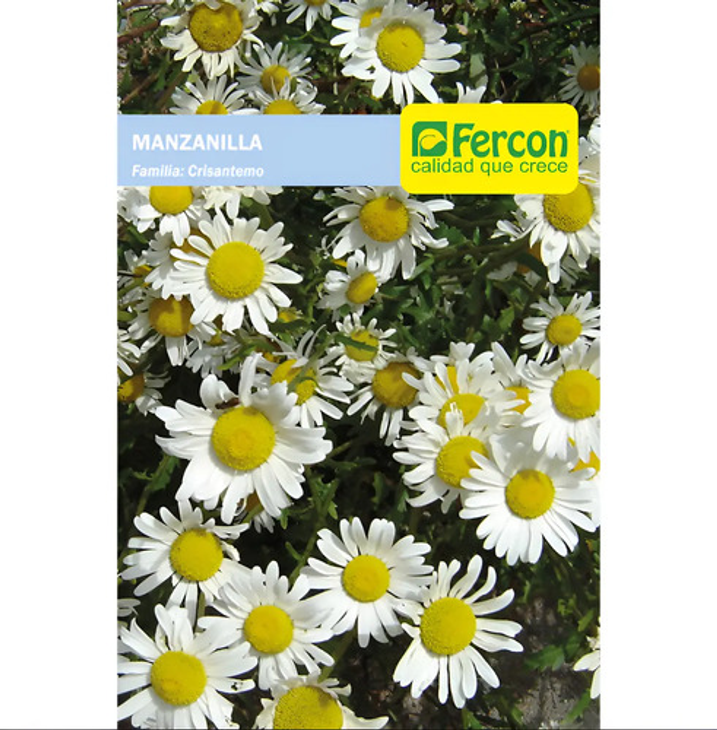 Semillas Aromaticas Tomillo-romero-hierbabuena-ruda-manz Etc 10