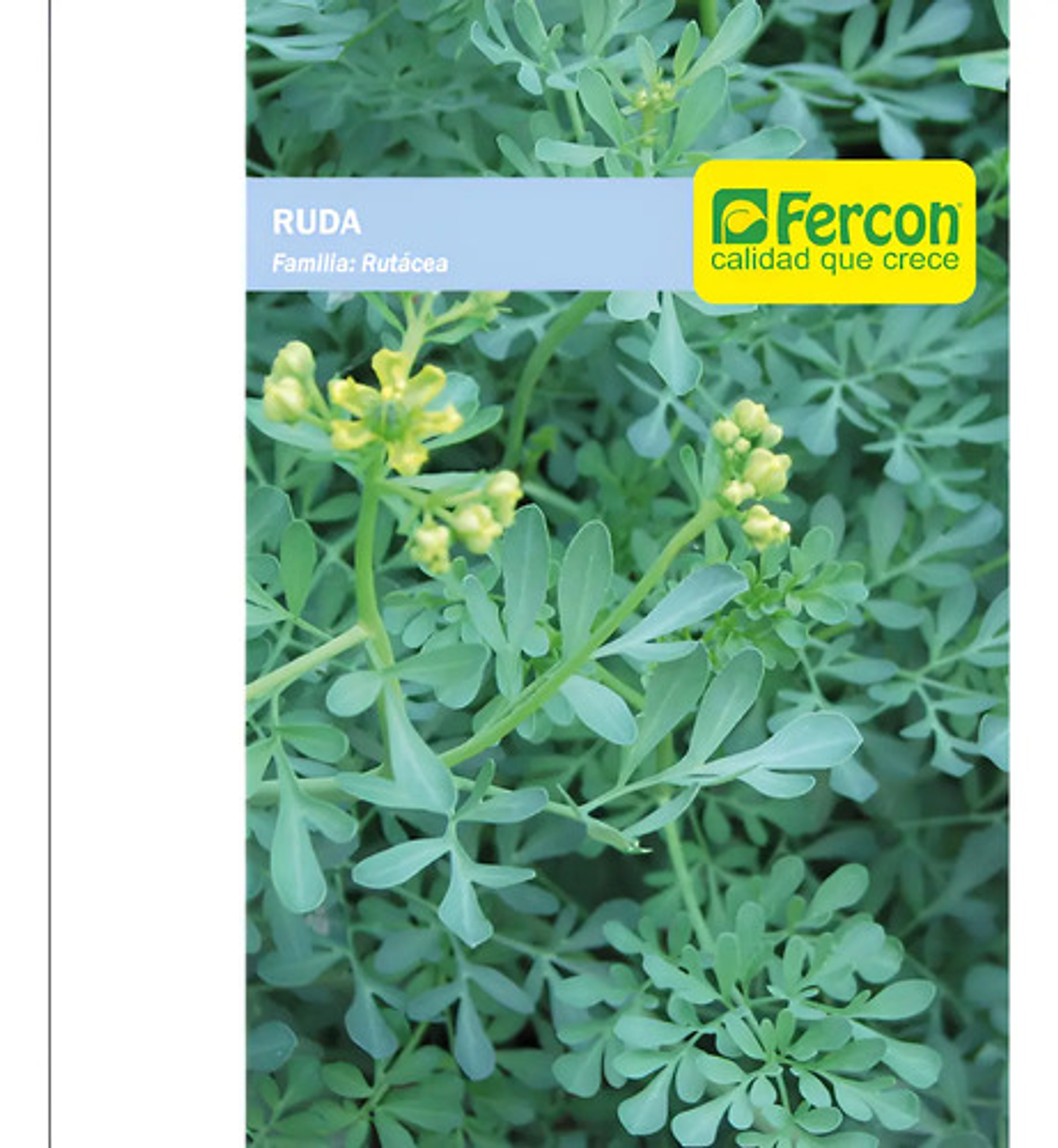 Semillas Aromaticas Tomillo-romero-hierbabuena-ruda-manz Etc 13