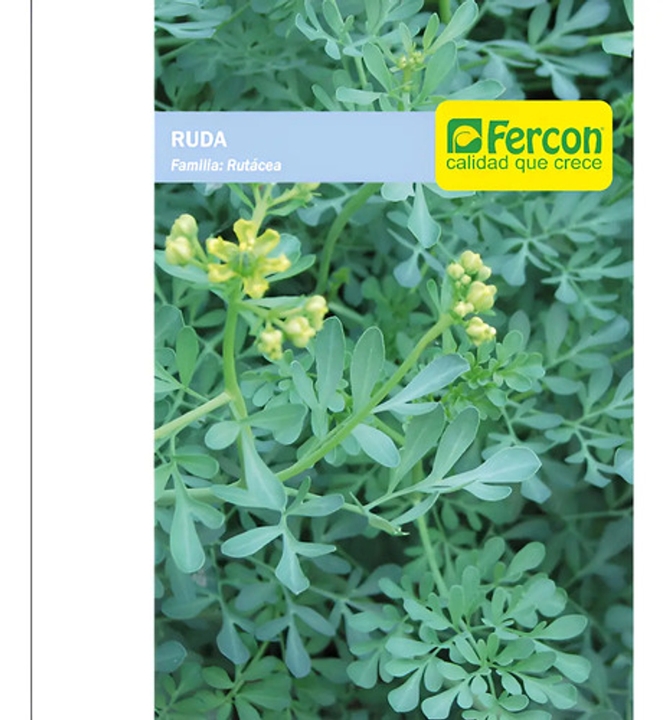 Semillas Aromaticas Tomillo-romero-hierbabuena-ruda-manz Etc 13