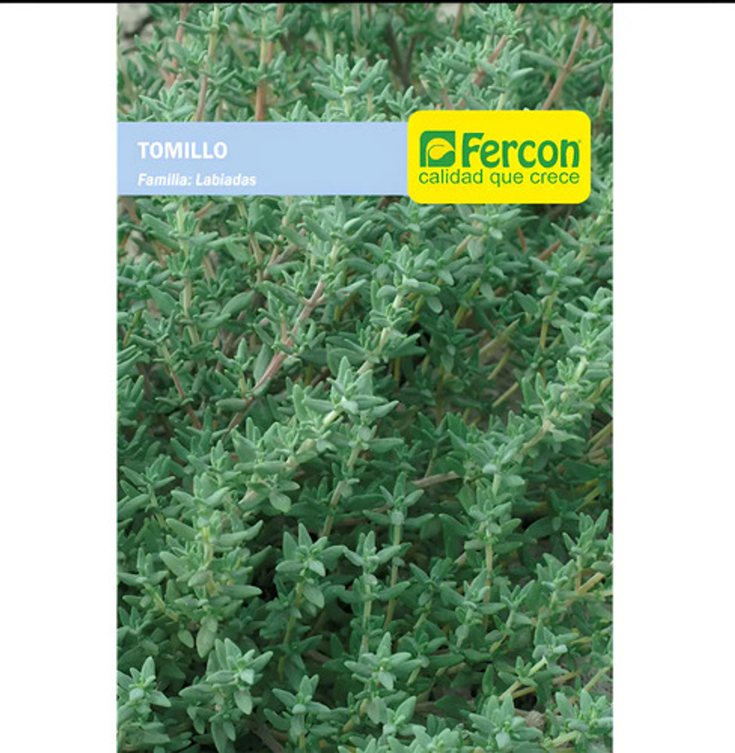 Semillas Aromaticas Tomillo-romero-hierbabuena-ruda-manz Etc 16