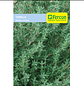 Semillas Aromaticas Tomillo-romero-hierbabuena-ruda-manz Etc - Miniatura 16