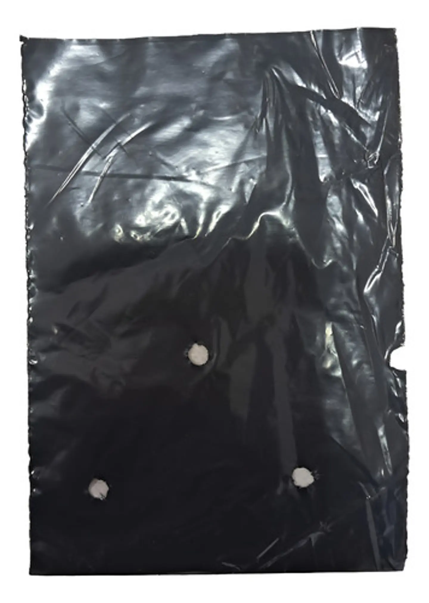 Bolsa para Semillero y Vivero 4x6 pulg (10cm x 15cm) | 1000 Unidades | Agrosamario 8