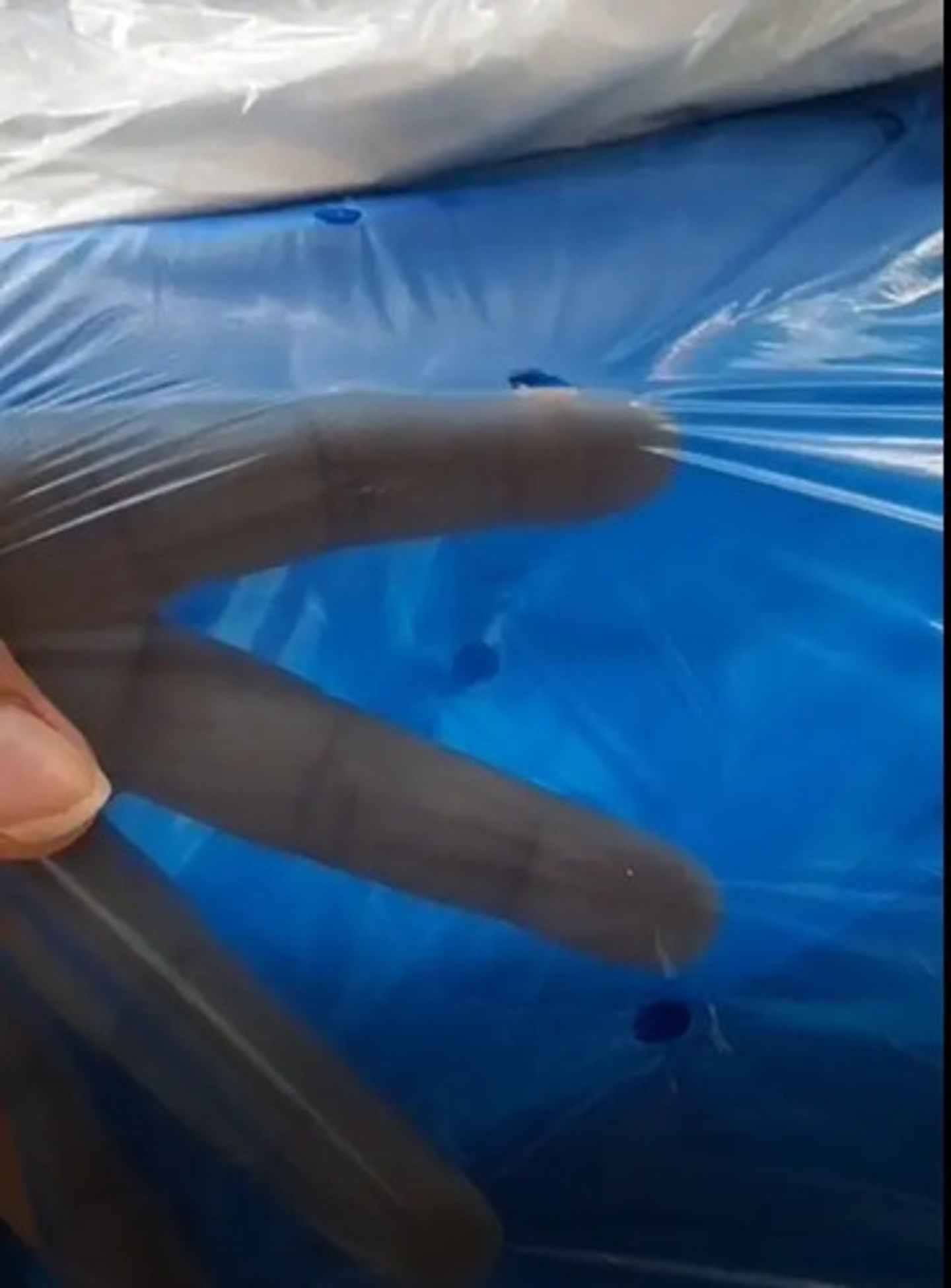 Bolsa Para Plátano X 200 Unidade 2