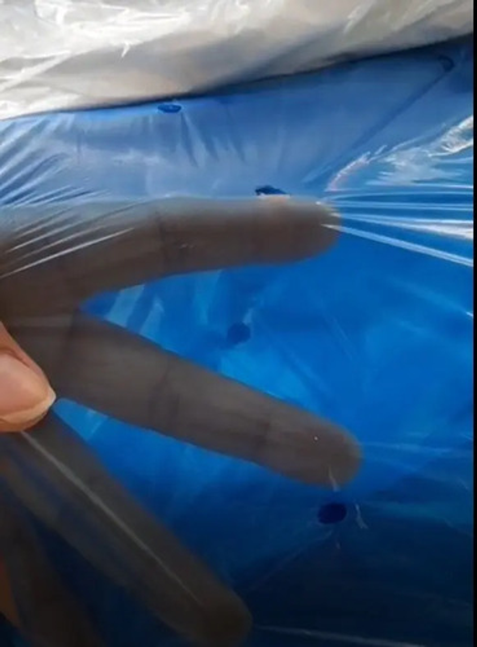 Bolsa Para Plátano X 200 Unidade 2