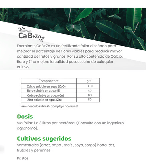 Calcio Boro X Litro Foliar Frutales Y Flores Amarre De Flor