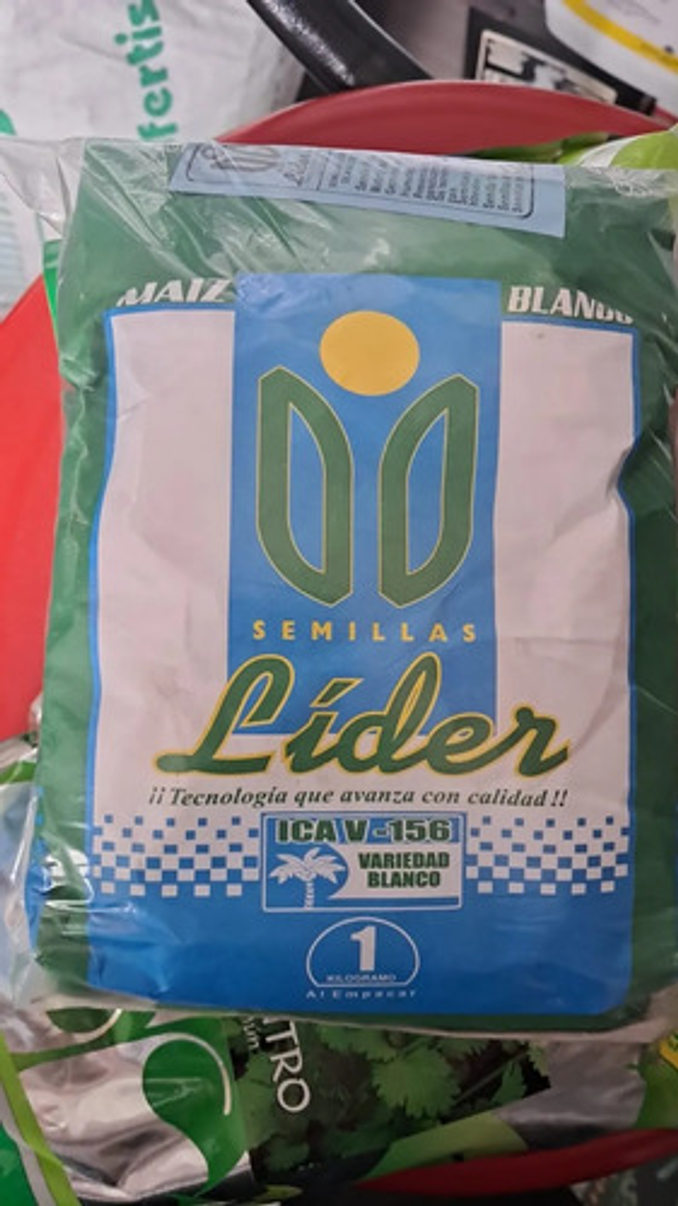 Semillas Maiz Blanco Variedad Ica V-156 X Kilo 7