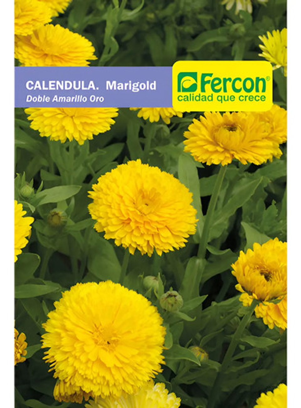 Semillas De Flores Certificada Por Sobre 5