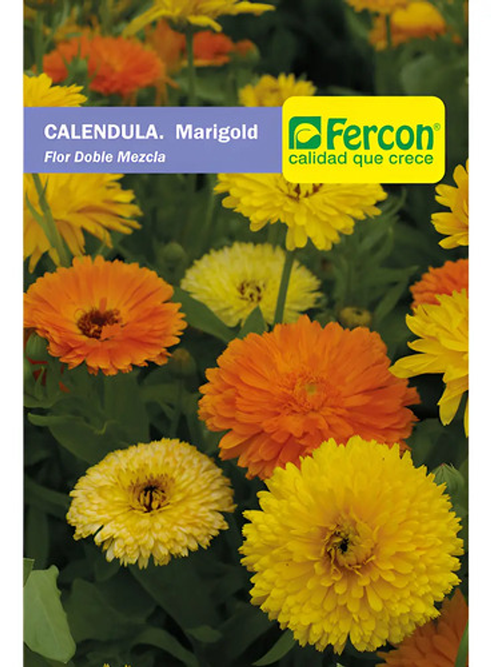 Semillas De Flores Certificada Por Sobre 7