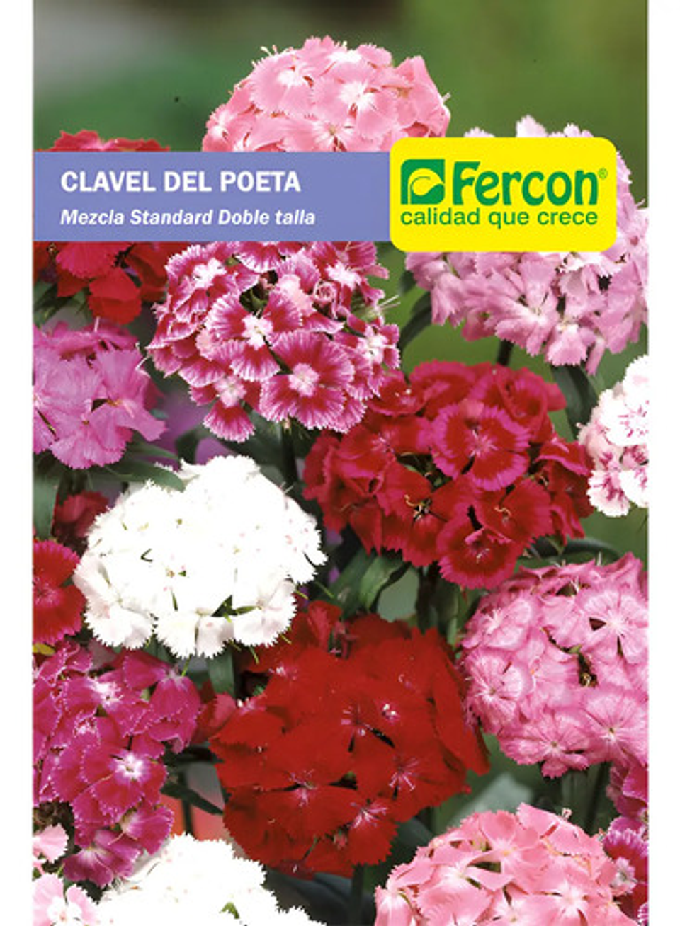 Semillas De Flores Certificada Por Sobre 11