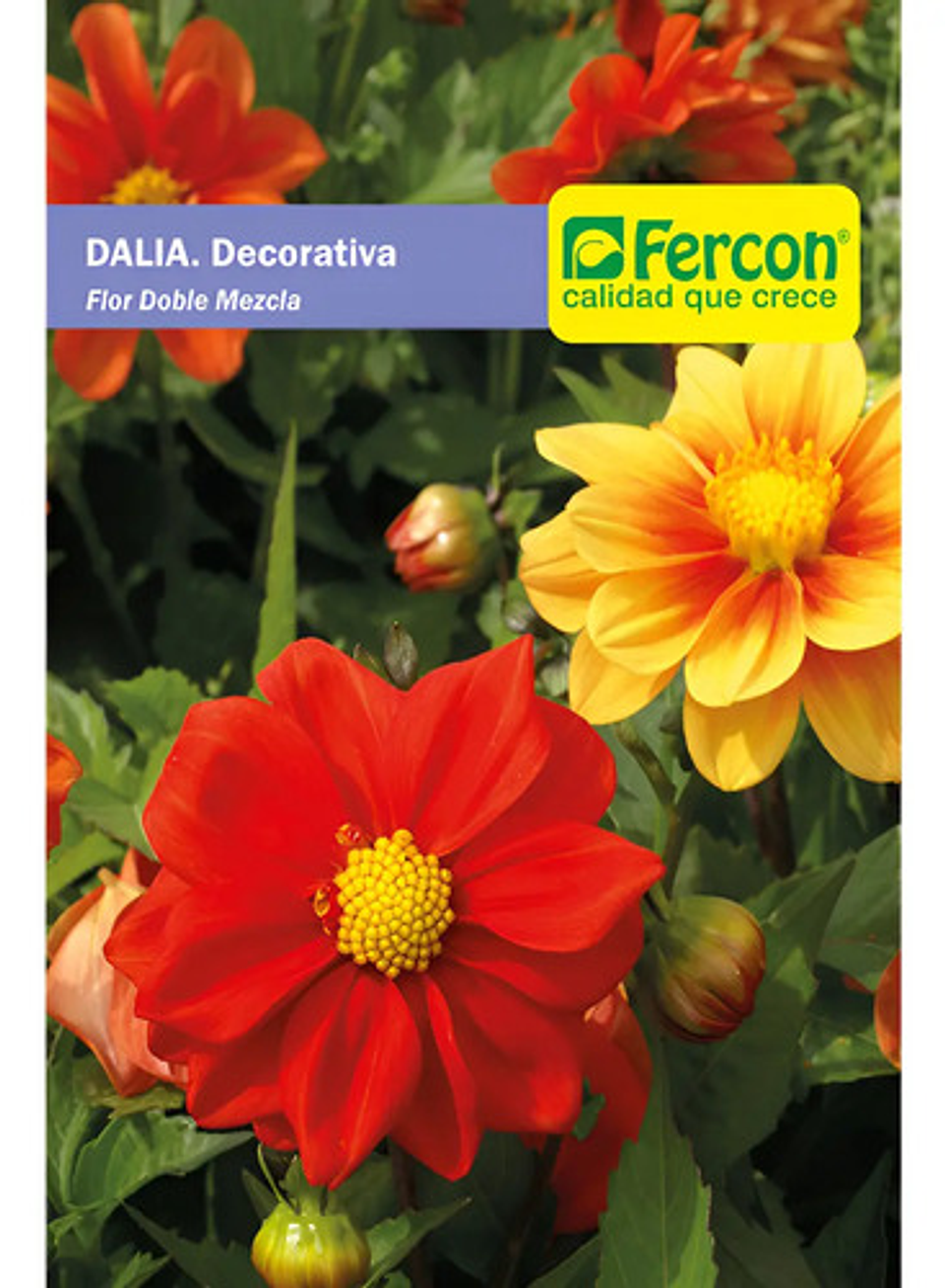 Semillas De Flores Certificada Por Sobre 15