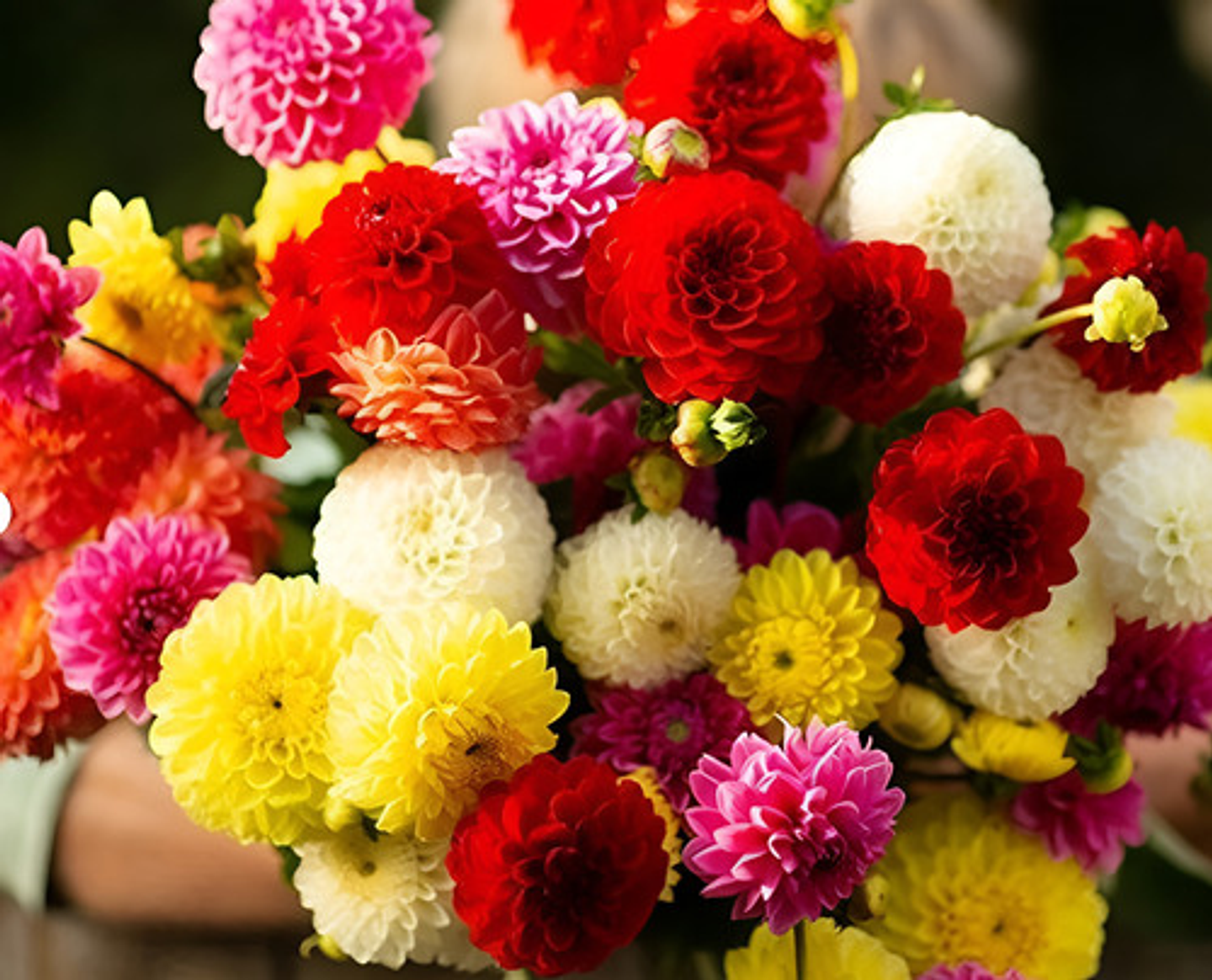 Semillas De Flores Certificada Por Sobre 20