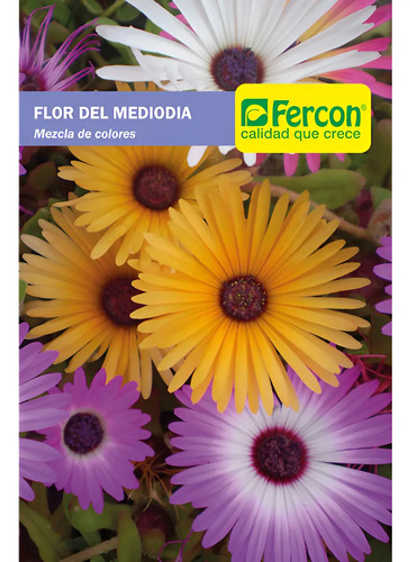 Semillas De Flores Certificada Por Sobre 23