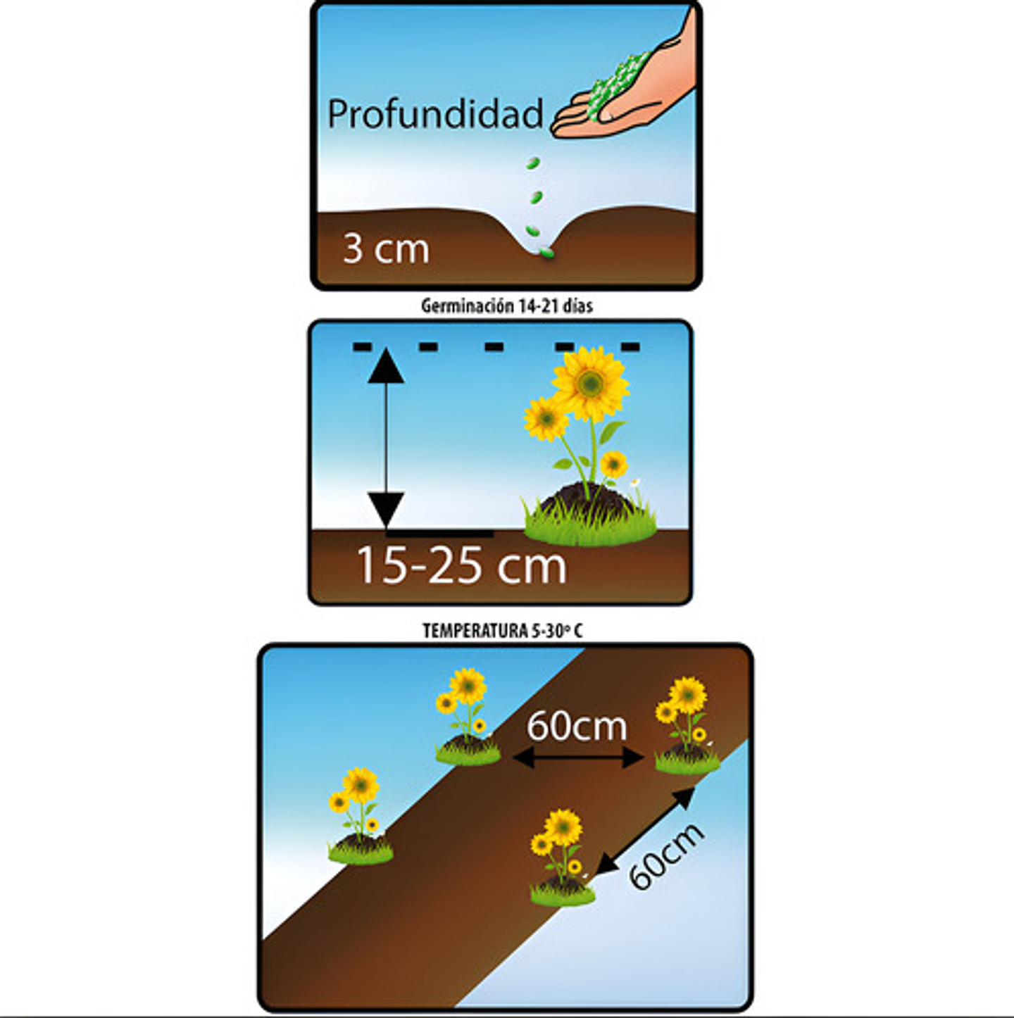Semillas De Flores Certificada Por Sobre 27