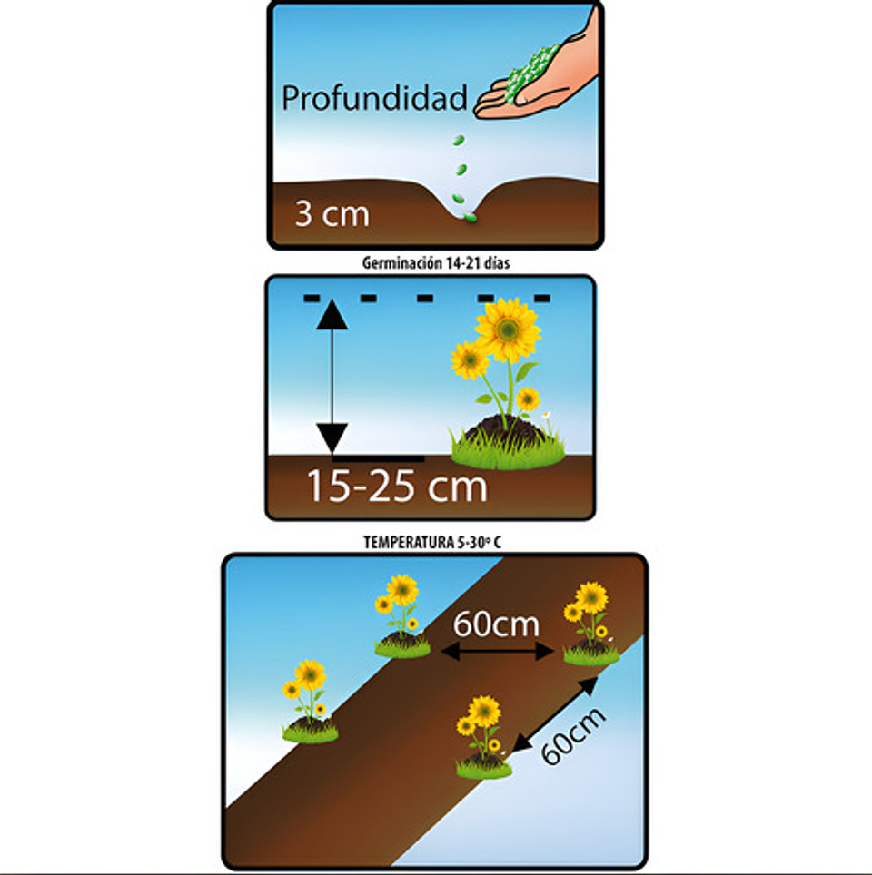 Semillas De Flores Certificada Por Sobre 27