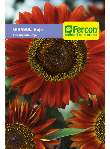 Semillas De Flores Certificada Por Sobre 30