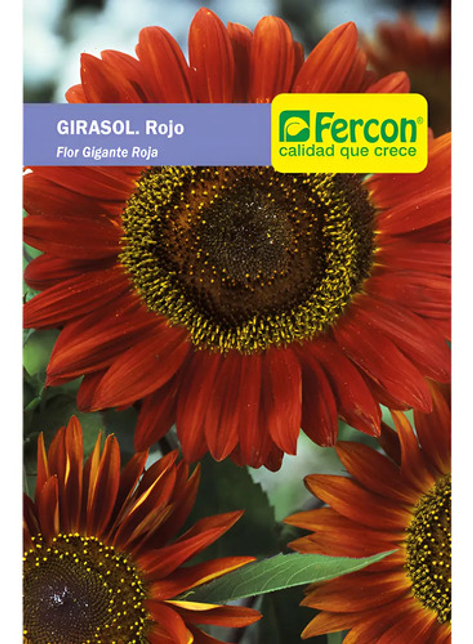 Semillas De Flores Certificada Por Sobre 30