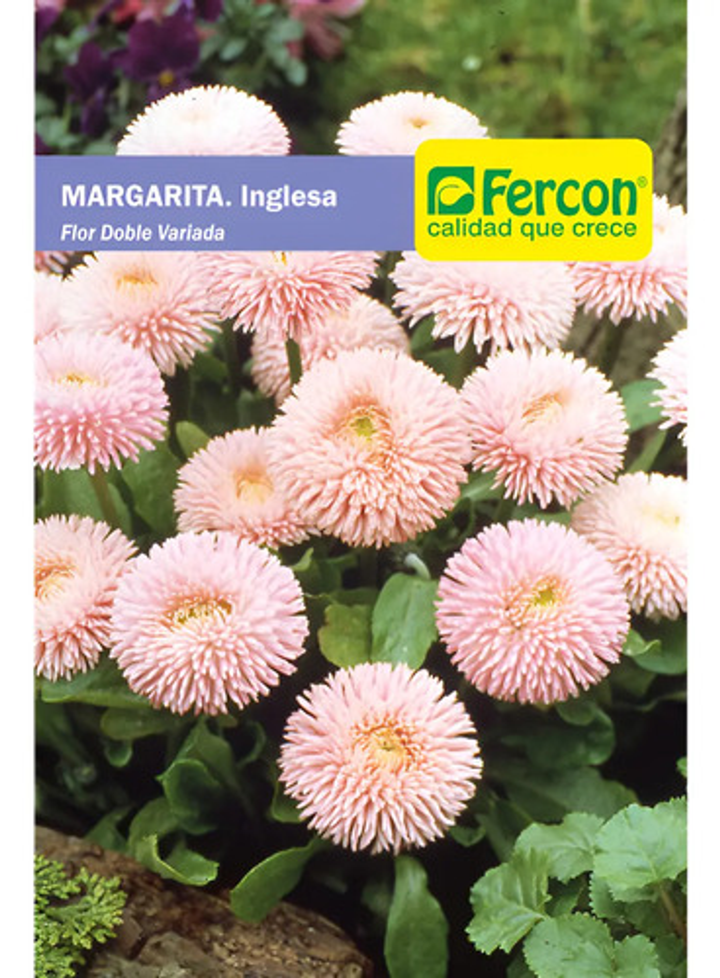 Semillas De Flores Certificada Por Sobre 32