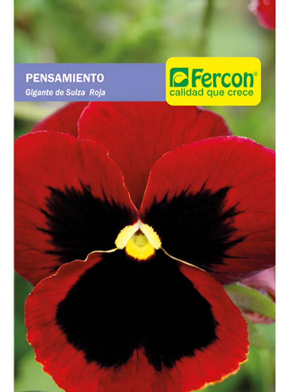 Semillas De Flores Certificada Por Sobre 35