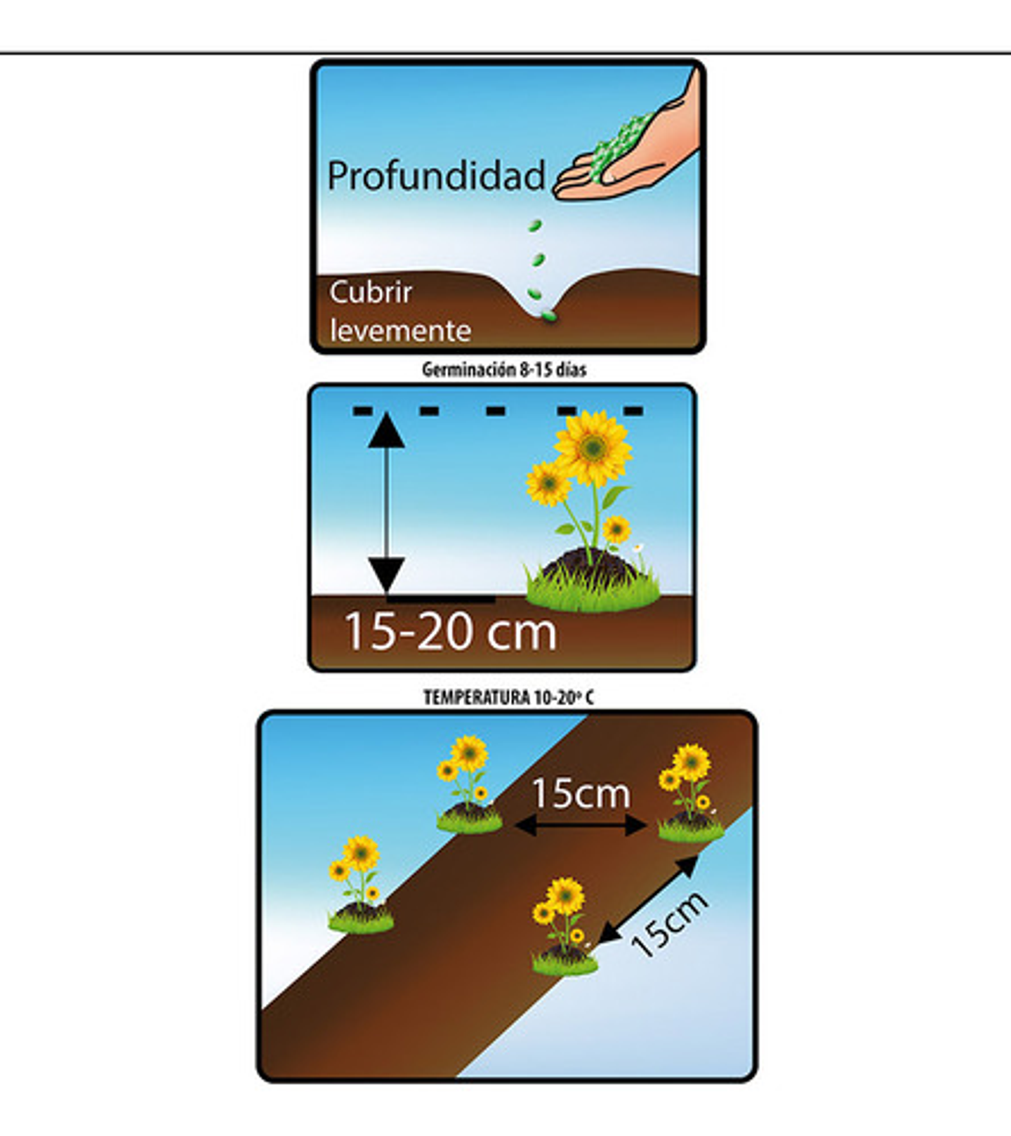 Semillas De Flores Certificada Por Sobre 36