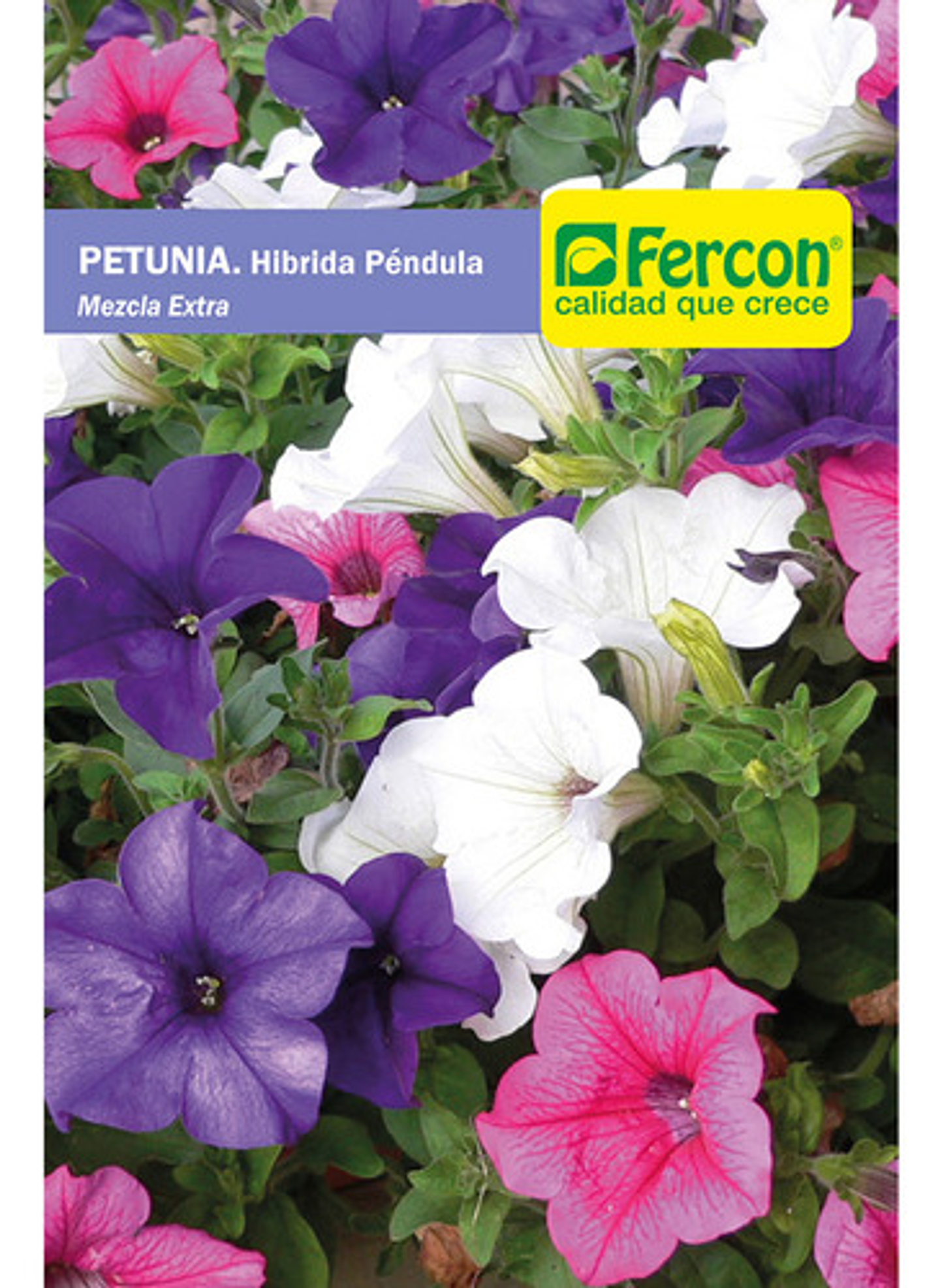 Semillas De Flores Certificada Por Sobre 41