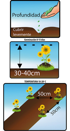 Semillas De Flores Certificada Por Sobre 42