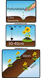 Semillas De Flores Certificada Por Sobre - Miniatura 42