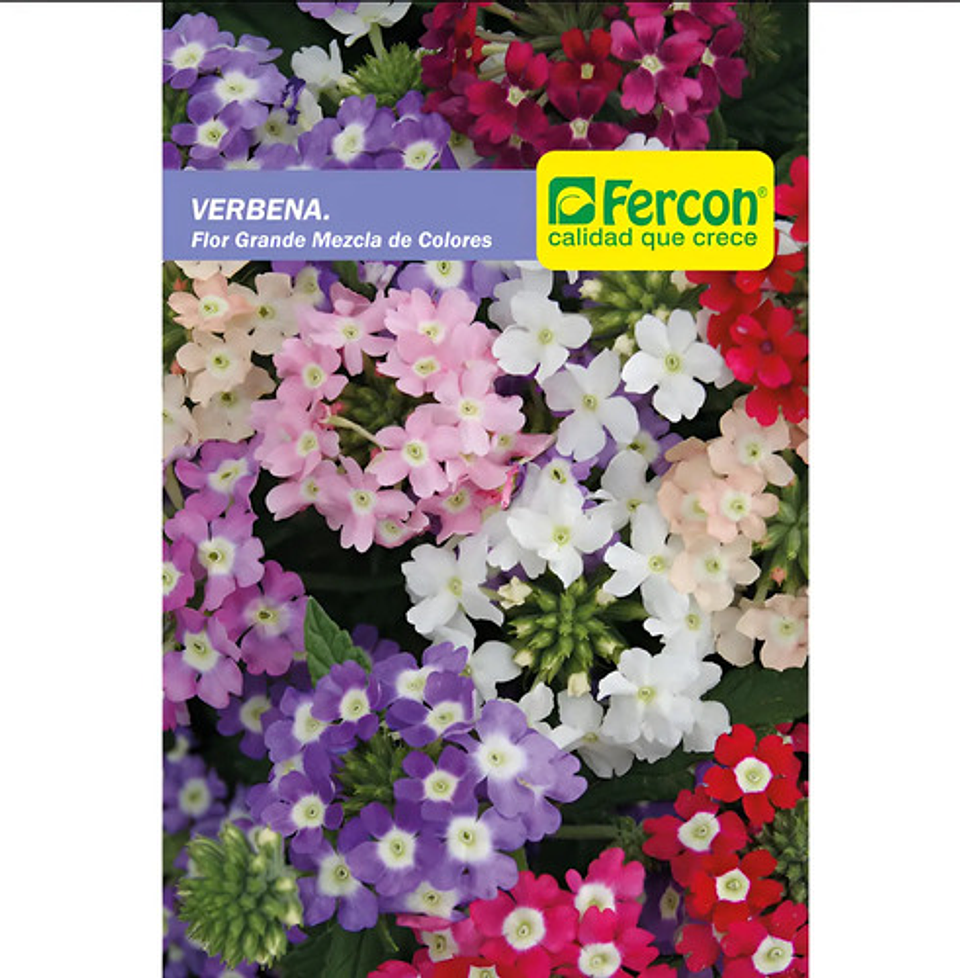 Semillas De Flores Certificada Por Sobre 43