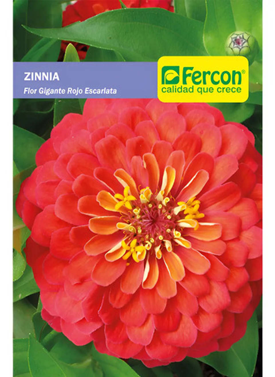 Semillas De Flores Certificada Por Sobre 46