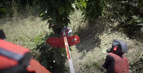 Disco de Cadena para Zoqueo Bellota (Negro) - Alto Rendimiento | Agrosamario 3